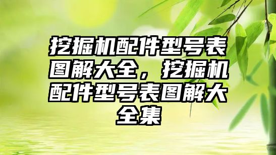 挖掘機配件型號表圖解大全，挖掘機配件型號表圖解大全集