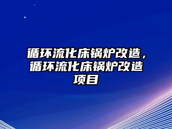 循環流化床鍋爐改造，循環流化床鍋爐改造項目