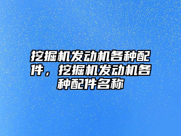 挖掘機發動機各種配件，挖掘機發動機各種配件名稱