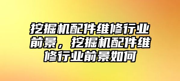 挖掘機配件維修行業前景，挖掘機配件維修行業前景如何