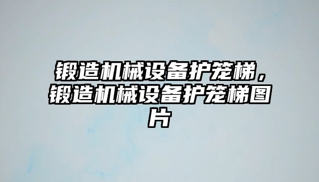 鍛造機械設備護籠梯，鍛造機械設備護籠梯圖片