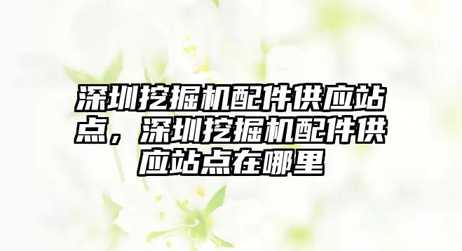 深圳挖掘機配件供應站點，深圳挖掘機配件供應站點在哪里