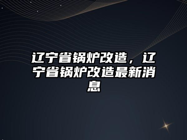 遼寧省鍋爐改造，遼寧省鍋爐改造最新消息