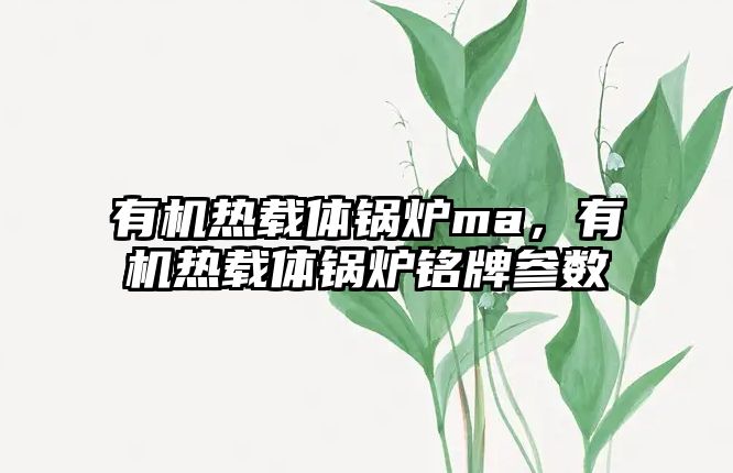 有機熱載體鍋爐ma，有機熱載體鍋爐銘牌參數(shù)