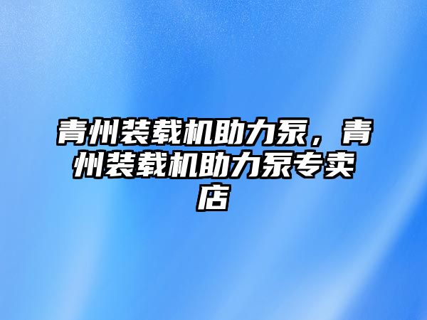 青州裝載機助力泵，青州裝載機助力泵專賣店