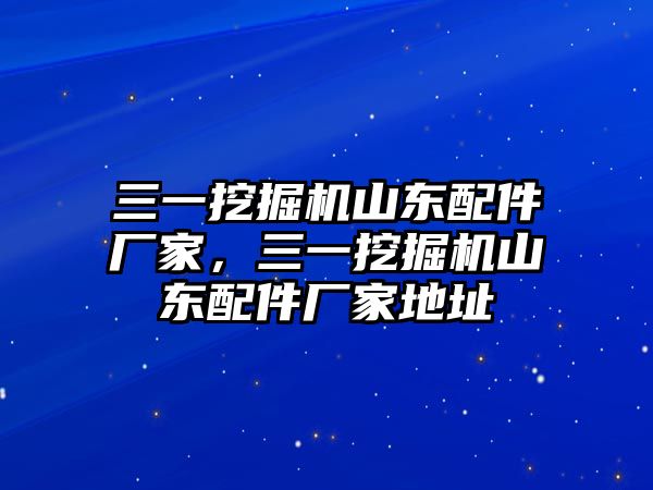 三一挖掘機山東配件廠家，三一挖掘機山東配件廠家地址