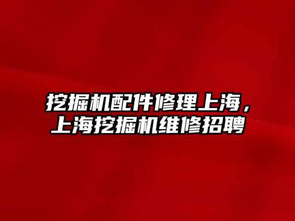 挖掘機配件修理上海，上海挖掘機維修招聘