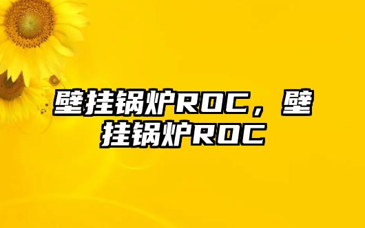 壁掛鍋爐ROC，壁掛鍋爐ROC