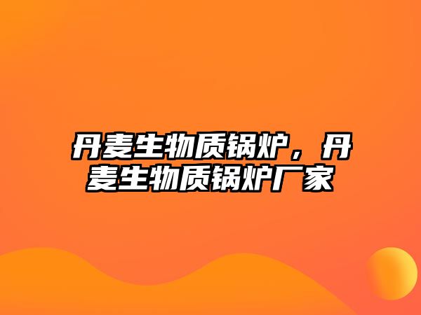 丹麥生物質鍋爐，丹麥生物質鍋爐廠家