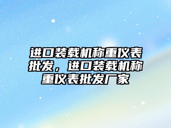 進口裝載機稱重儀表批發，進口裝載機稱重儀表批發廠家