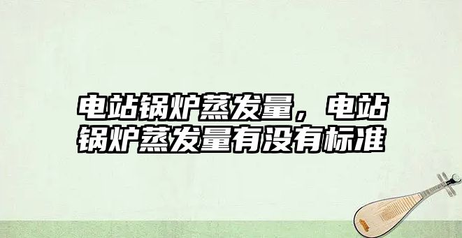 電站鍋爐蒸發量，電站鍋爐蒸發量有沒有標準