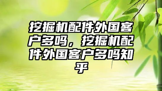 挖掘機配件外國客戶多嗎，挖掘機配件外國客戶多嗎知乎