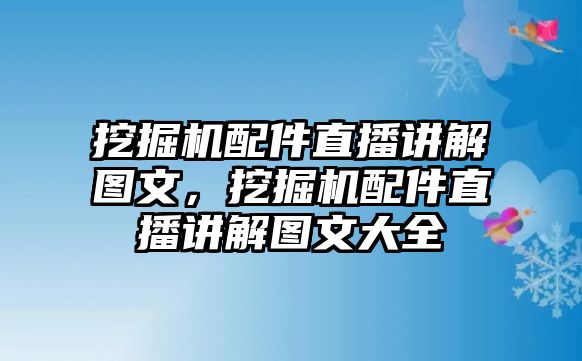 挖掘機配件直播講解圖文，挖掘機配件直播講解圖文大全