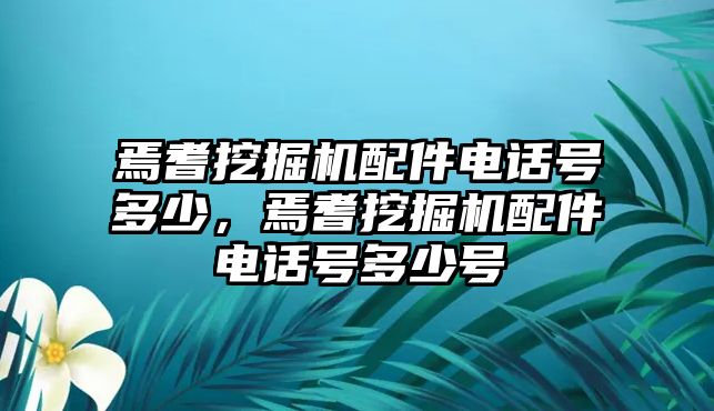 焉耆挖掘機配件電話號多少，焉耆挖掘機配件電話號多少號