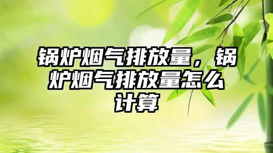 鍋爐煙氣排放量，鍋爐煙氣排放量怎么計算