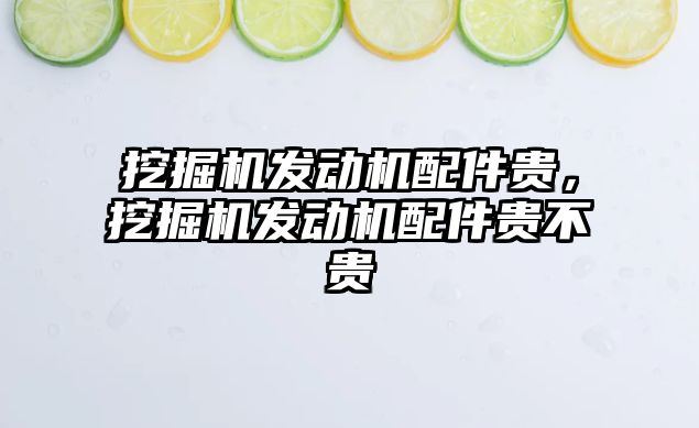 挖掘機發動機配件貴，挖掘機發動機配件貴不貴