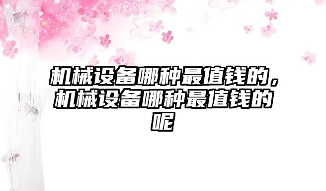 機械設(shè)備哪種最值錢的，機械設(shè)備哪種最值錢的呢