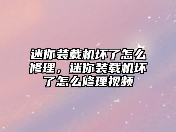 迷你裝載機(jī)壞了怎么修理，迷你裝載機(jī)壞了怎么修理視頻