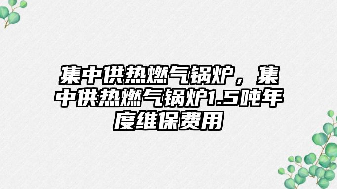 集中供熱燃氣鍋爐，集中供熱燃氣鍋爐1.5噸年度維保費用