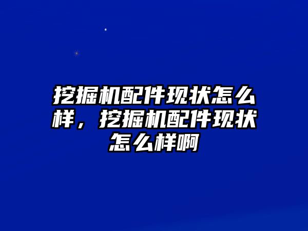 挖掘機配件現(xiàn)狀怎么樣，挖掘機配件現(xiàn)狀怎么樣啊