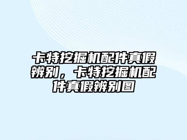 卡特挖掘機(jī)配件真假辨別，卡特挖掘機(jī)配件真假辨別圖