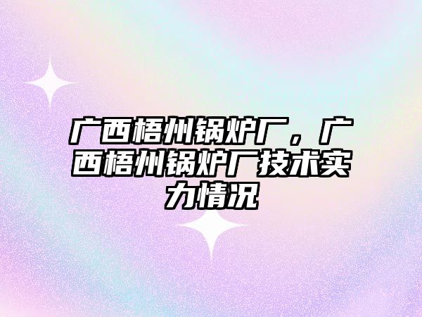 廣西梧州鍋爐廠，廣西梧州鍋爐廠技術實力情況