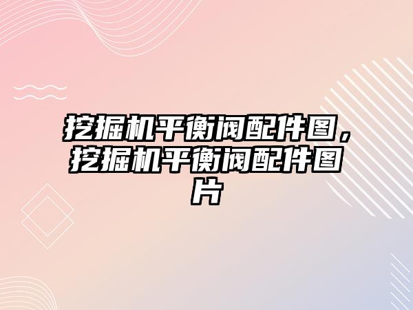 挖掘機平衡閥配件圖，挖掘機平衡閥配件圖片