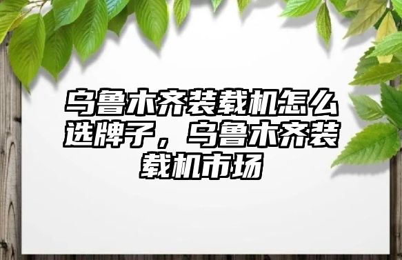 烏魯木齊裝載機怎么選牌子，烏魯木齊裝載機市場