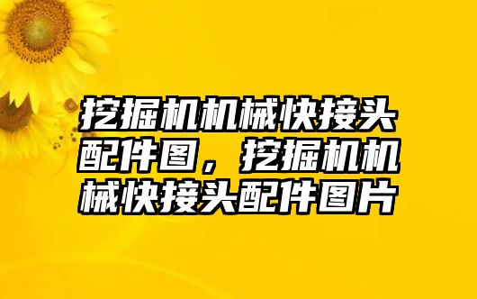 挖掘機機械快接頭配件圖，挖掘機機械快接頭配件圖片