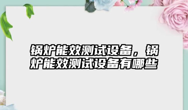 鍋爐能效測試設備，鍋爐能效測試設備有哪些