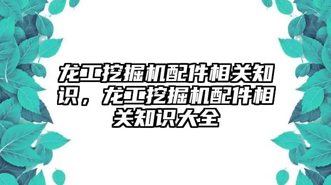 龍工挖掘機配件相關知識，龍工挖掘機配件相關知識大全