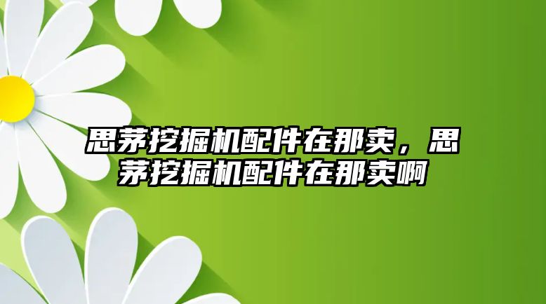 思茅挖掘機配件在那賣，思茅挖掘機配件在那賣啊