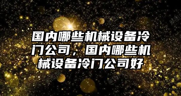 國內哪些機械設備冷門公司，國內哪些機械設備冷門公司好