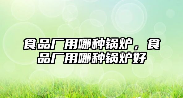 食品廠用哪種鍋爐，食品廠用哪種鍋爐好