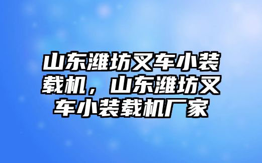 山東濰坊叉車小裝載機，山東濰坊叉車小裝載機廠家