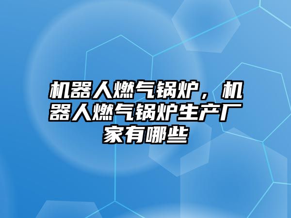 機器人燃氣鍋爐，機器人燃氣鍋爐生產廠家有哪些