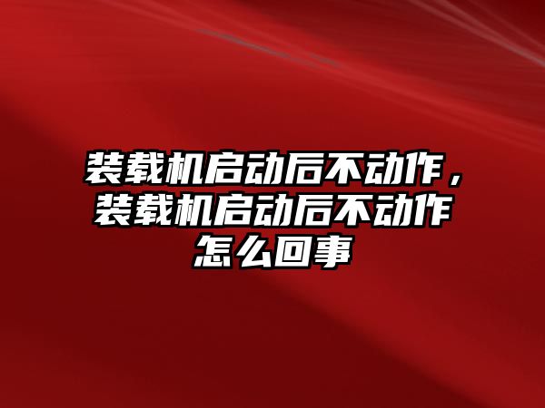 裝載機啟動后不動作，裝載機啟動后不動作怎么回事