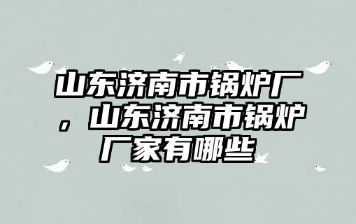 山東濟南市鍋爐廠，山東濟南市鍋爐廠家有哪些