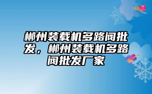 郴州裝載機(jī)多路閥批發(fā)，郴州裝載機(jī)多路閥批發(fā)廠家