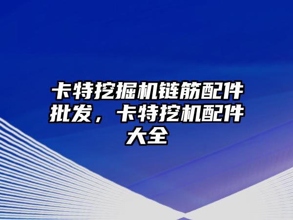 卡特挖掘機鏈筋配件批發，卡特挖機配件大全