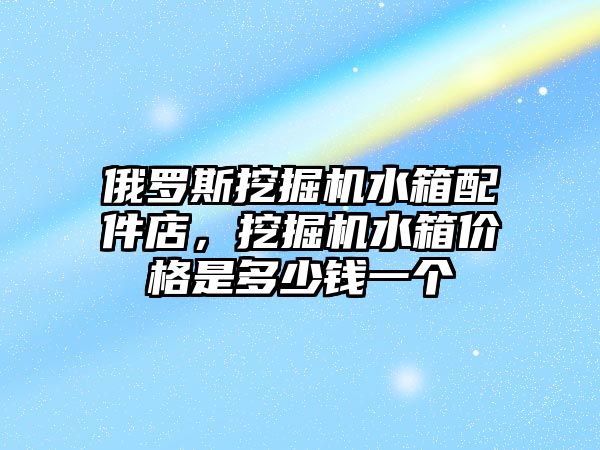 俄羅斯挖掘機水箱配件店，挖掘機水箱價格是多少錢一個