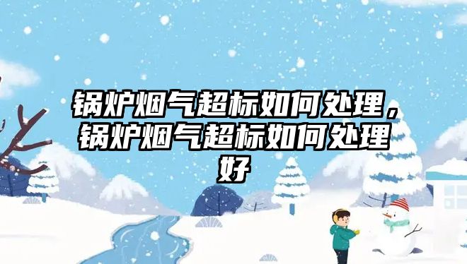 鍋爐煙氣超標如何處理，鍋爐煙氣超標如何處理好