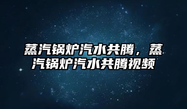 蒸汽鍋爐汽水共騰，蒸汽鍋爐汽水共騰視頻