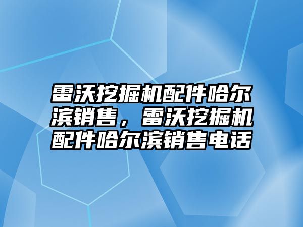 雷沃挖掘機配件哈爾濱銷售，雷沃挖掘機配件哈爾濱銷售電話