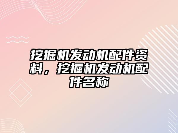 挖掘機發動機配件資料，挖掘機發動機配件名稱