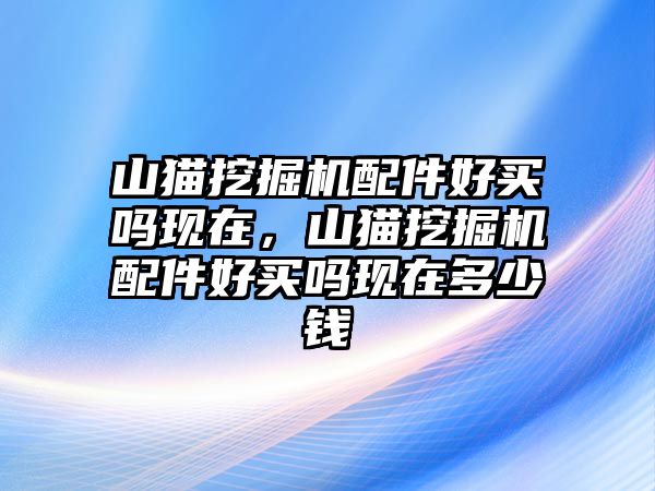 山貓挖掘機配件好買嗎現在，山貓挖掘機配件好買嗎現在多少錢