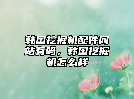 韓國挖掘機(jī)配件網(wǎng)站有嗎，韓國挖掘機(jī)怎么樣