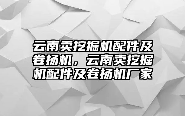 云南賣挖掘機配件及卷揚機，云南賣挖掘機配件及卷揚機廠家