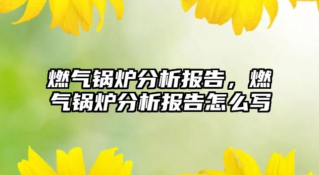 燃氣鍋爐分析報告，燃氣鍋爐分析報告怎么寫