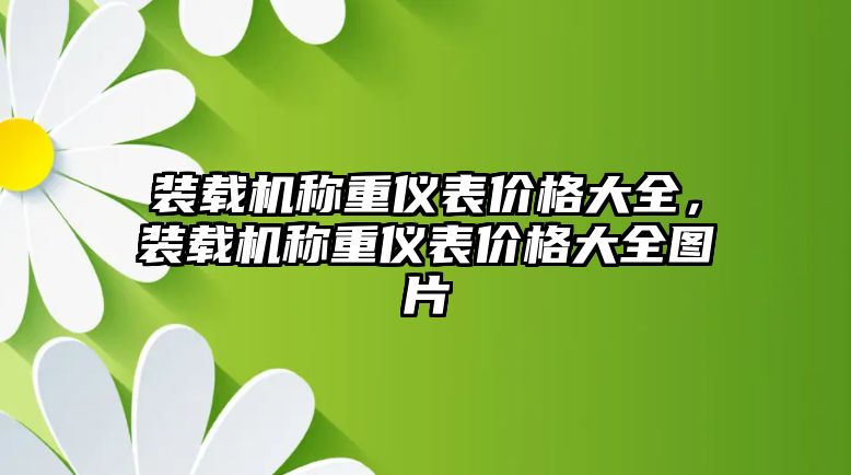 裝載機稱重儀表價格大全，裝載機稱重儀表價格大全圖片